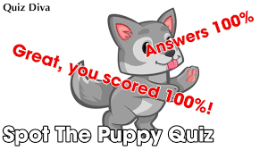 A few centuries ago, humans began to generate curiosity about the possibilities of what may exist outside the land they knew. Spot The Puppy Quiz Answers 100 Quiz Diva Youtube