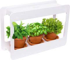 Led Indoor Herb Garden At Home Mini Window Planter Kit For Herbs Succulents And Vegetables By Mindful Design White Walmart Com In 2021 Indoor Herb Garden Small Herb Gardens Herb Garden Kit