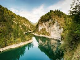 Image result for lamon.