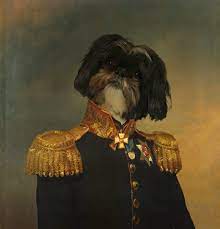 We did not find results for: Make A Custom Renaissance Pet Portrait By Alexjsp Fiverr