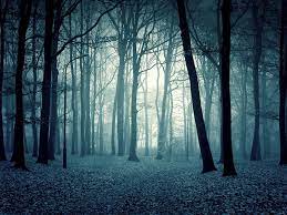Broadway caliber forests & woods. Scary Woods Wallpapers Wallpaper Cave
