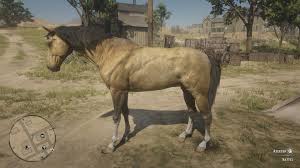 For the red dead redemption variant, see american standardbred. Red Dead Redemption 2 Alle Pferderassen Und Pferdeklassen