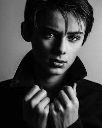 williamfranklyn 顔 メンズ スタイル 美少年