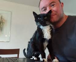 Tuxedo Kittens For Adoption.