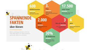Diese würden durch das bau+hobby sortiment im bereich garten, grill, freizeit und basteln sowie durch die nachhaltigen eigenmarken oecoplan, naturaplan sowie pro. Coop Bau Hobby Prasentiert Interaktive Themenseite Zum Weltbienentag