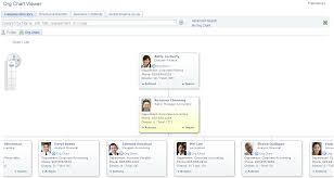 Setting Up The Org Chart Viewer