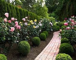 Flower Bed And Trees Along A Property Line Beautiful Rose Garden Design Rose Garden Landscape Garden Design