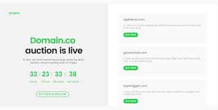 Domain For Sale Parking Template By Ydirectionthemes Themeforest