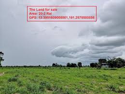 بيع ارض زراعية Cholburi Chonburi تايلاند Na Roek Phanat Nikhom Chonburi تايلاند Realigro Ma