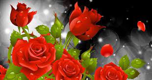 You can download love red rose live wallpaper 2.7 directly on allfreeapk.com. Hd 3d 1080p Wallpapers 70 Images Blooming Red Rose Flowers 3d Animation Free Download Hd 1080p Rose Flower Wallpaper Red Flower Wallpaper Flower Wallpaper