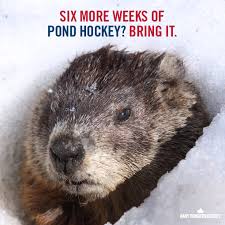 Shubenacadie sam visits a young fan after calling for an early spring. Does Punxsutawney Phil And Shubenacadie Sam Know How To Play Goalie Groundhog Day Groundhog Day Activities Groundhog
