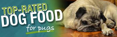 They have a tendency to be food greedy, so your pug diet plan for weight management should include adequate exercise and. What Is The Best Dog Food For A Pug