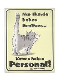 Katzen Haben Personal Spruch Katze Katzen Witze Katzen
