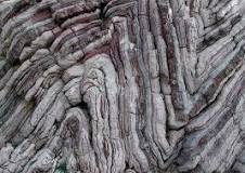 Image result