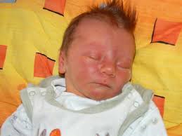 Právě jsme se narodili