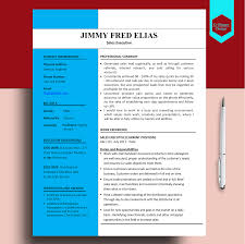 10 expert formatting tips for your cv. Sales Executive Cv In Microsoft Word