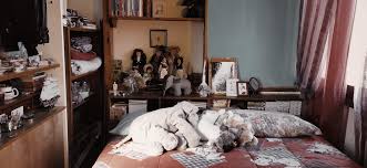 Do you have an aesthetic room. My Aesthetic Maximalist Dark Academia Bedroom Darkacademia