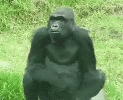 Share the best gifs now >>>. Ø§Ù„Ø­ÙŠÙˆØ§Ù†Ø§Øª Ù…Ø¶Ø­Ùƒ Ø§Ù„ØµÙˆØ± Ø§Ù„Ù…ØªØ­Ø±ÙƒØ© ØªÙ†Ø³ÙŠÙ‚ Ø¬ÙŠÙ ØµÙˆØ± Ø³Ø®ÙŠÙÙ‡