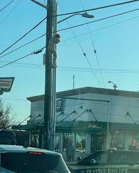 Longtime chain serving a variety of donut flavors & shapes, plus coffee & frozen drinks. Ari Hoffman On Twitter This Was In Seattle Today On 125th And Aurora