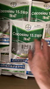 Cocosieu 15.5WP