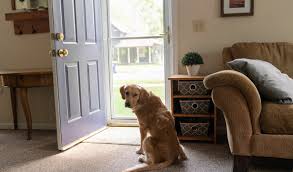 Simply place the screen pa. How To Fix A Storm Door Retractable Screen Glass Doctor