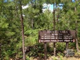 Batsto Lake White Trail Batsto Nj South Jersey Trails Wharton State Forest Trail Lake