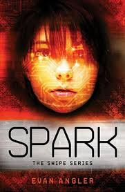 Spark by Evan Angler (2013, Trade Paperback) for sale online