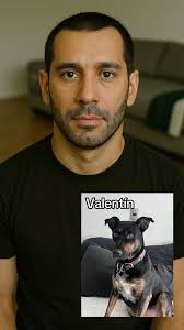 Perros Version Niños Chat Gpt