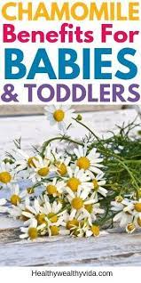 Chamomile Tea For Babies The Benefits You Need To Know Chamomile Tea Benefits Chamomile Tea Baby Drinks