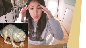 Mit hintersinnigem witz, einer spur sarkasmus und einer. Uber Meine Arbeit Mein Leben Und Nacktmulle Q A Mit Mai Youtube