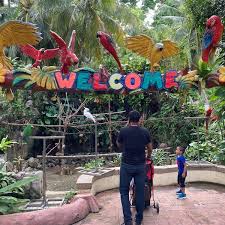 Water polo blend elements of swimming, wrestling, football, as well as basketball. A Famosa Animal World Safari Zoo
