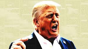 Stephen Miller's Former Colleague Reveals Why He Is a 'Horrible Human Being'