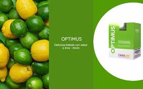 Este artículo es de carácter informativo y no sustituye la opinión médica profesional. Optimus Omnilife Producto Que Fomenta Tu Aprendizaje Y Nutre Tu Cerebro