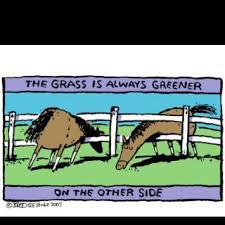 The Grass Is Always Greener On The Other Side Of The Fence Examples Hahahaha So True Funny Horses Horse Jokes Horse Cartoon