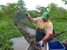 Question Answer: What is the best time of year for crawfish