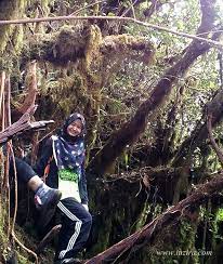 Mendaki gunung adalah salah satu olahraga ekstrim yang banyak penggemarnya. Pengalaman Mendaki Gunung Irau Iuzira