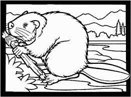 Learn about famous firsts in october with these free october printables. Beaver Coloring Page For Kids Free Printable Picture