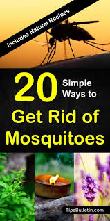 Maybe you would like to learn more about one of these? How To Keep Mosquitoes Away 20 Simple Ways To Get Rid Of Mosquitoes Mosquito Repellent Homemade Keeping Mosquitos Away Repellent Homemade