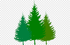 Free Content Pine Cartoon Forest S Leaf Christmas Decoration Silhouette Png Pngwing