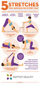 Everyday Stretches To Start A Regular Stretching Routine Best Stretching Exercises Everyday Stretches Stretching Exercises For Flexibility