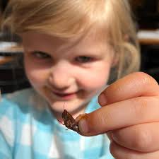 Thinking Through Soil