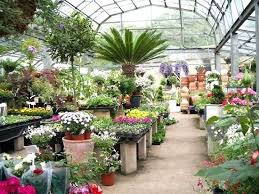 The firm provides interior plant care solutions in commercial and residential areas. 8 Best Plant Nurseries In Nagpur India Gardening