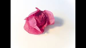 Tuto Choux Rouge En Papier Paper Red Cabbage Craft Jardin De Papier Craft Chou Rouge