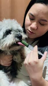 Igco and Barley for Dogs