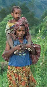 Indonesia 2020 population is estimated at 273,523,615 people at mid year according to un data. Benefit Sharing And Customary Land Rights In Forest Areas For Indonesian Indigenous Peoples Profor