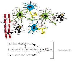 Now serving the following areas: Ijms Free Full Text Danger Sensing Patten Recognition Receptors And Neuroinflammation In Alzheimer S Disease Html