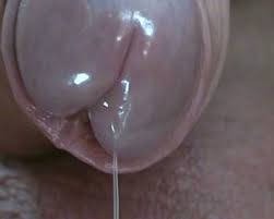 Gorgeous raven haired teen drools over dick. Drooling Pre Cum From Uncut Cock Extreme Close Up Manporn Xxx