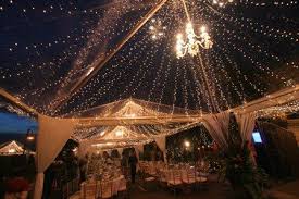 A luxurious clear tent with a light canopy under the roof, with oversized greenery and bloom installations. Wedding With Transparent Canopy Forest Wedding Reception Secret Garden Wedding Forest Wedding