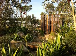 Pin On Australian Gardens