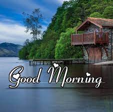 Good morning images of nature free download. 950 Good Morning Nature Images Photos Picture Hd